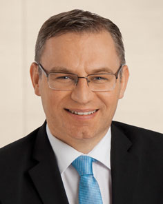 Norbert Lins, Kandidat für das Europäische Parlament